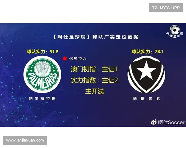 博塔弗戈暂时领跑巴甲积分榜 帕尔梅拉斯紧随其后誓言反超 博塔弗戈暂时领跑巴甲积分榜 帕尔梅拉斯紧随其后誓言反超